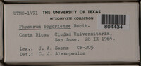 Image Associated With the Occurence